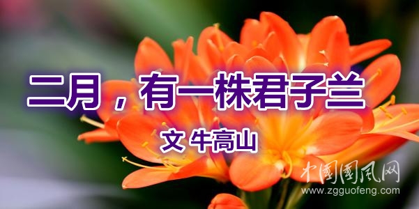 二月，有一株君子蘭（文  牛高山）