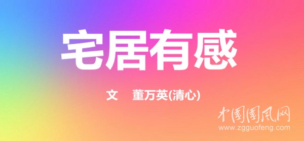   宅居有感(文  董萬(wàn)英)