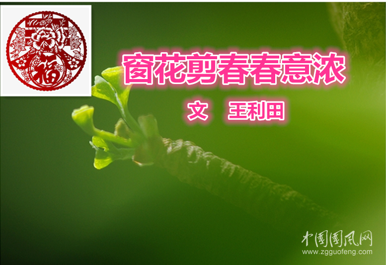 窗花剪春春意濃（文  王利田）