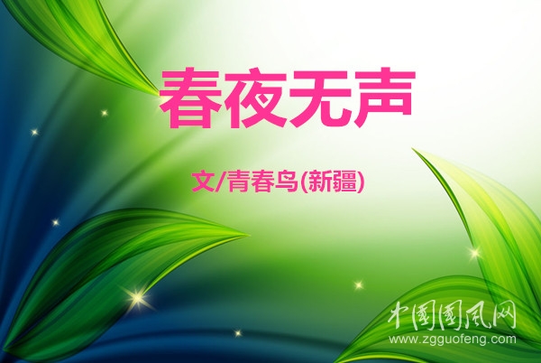  春夜無聲（文/青春鳥）