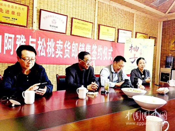 王張孫.jpg