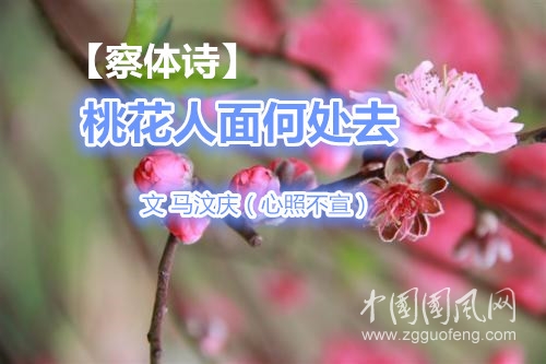  【察體詩】桃花人面何處去（文 馬汶慶）