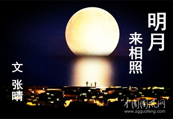 明月來相照