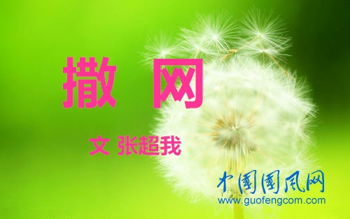 撒網(wǎng)（文 張超我）
