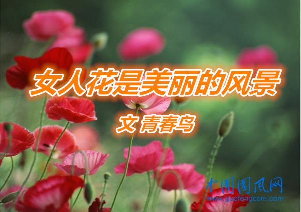  女人花是美麗的風(fēng)景（文  青春鳥）