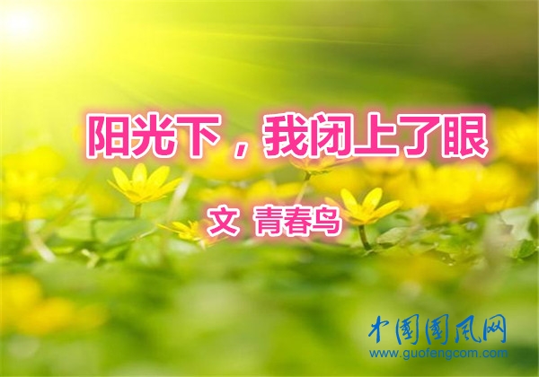  陽光下，我閉上了眼（文 青春鳥）