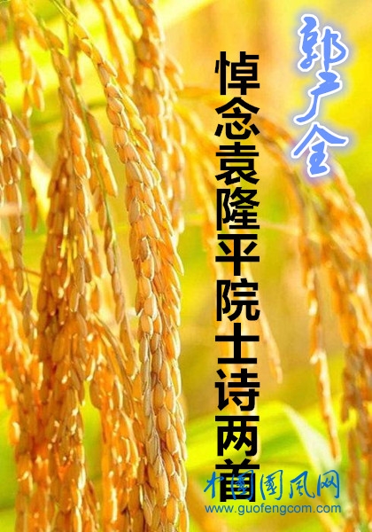 郭廣全悼念袁隆平院士詩(shī)兩首
