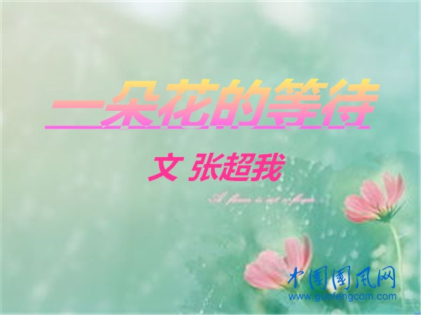 一朵花的等待（文/張超我）