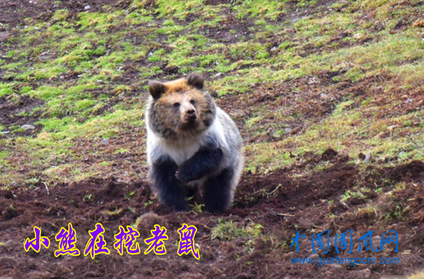圖片8.png