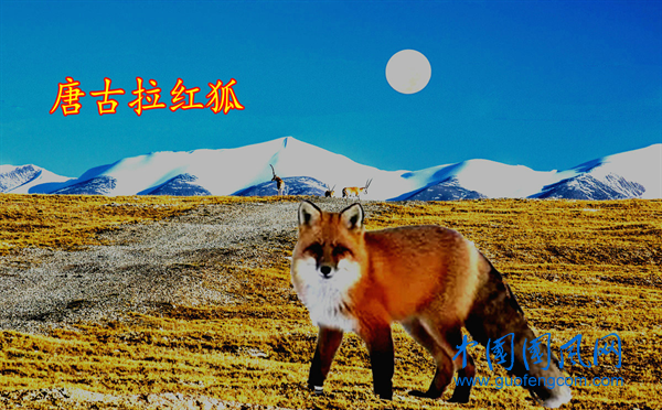 圖片5.png