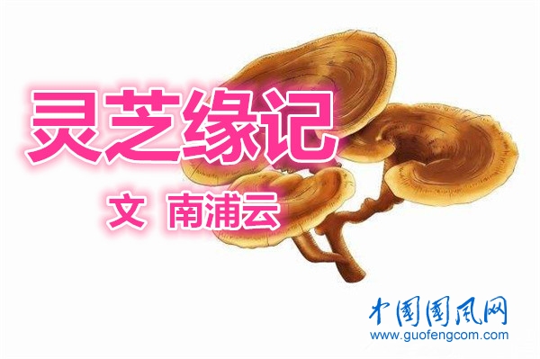 靈芝緣記（文  南浦云）