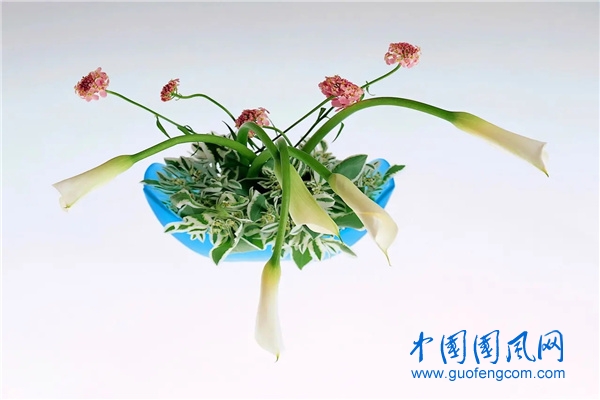 插畫.webp.jpg