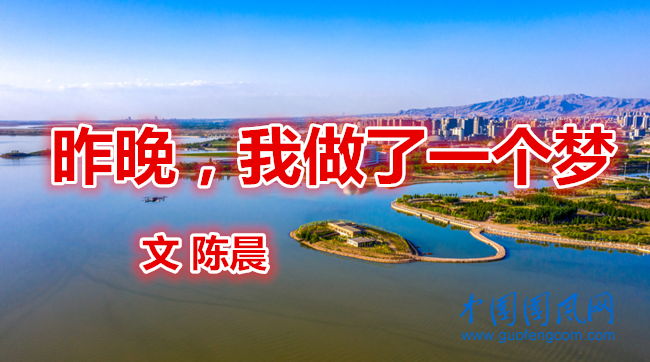  昨晚，我做了一個(gè)夢（文  陳晨）