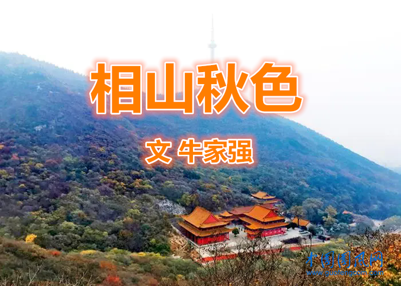相山秋色（文  牛家強）