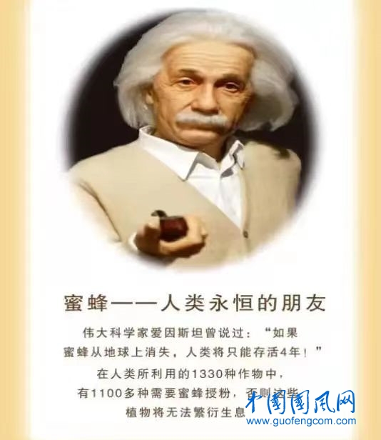 微信圖片_20241020133539.jpg