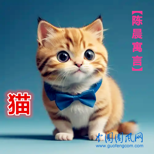 【 陳晨寓言】貓