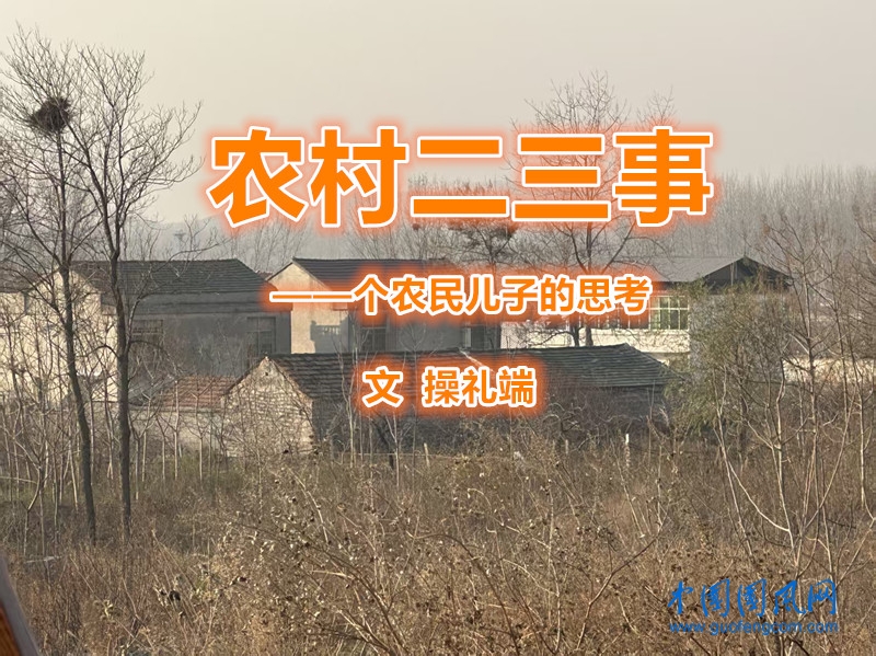  農(nóng)村二三事 ——一個農(nóng)民兒子的思考