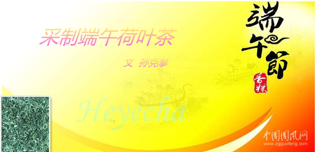  采制端午荷葉茶（文   孫克攀）