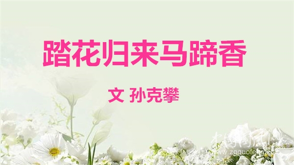 張偉：踏花歸來馬蹄香