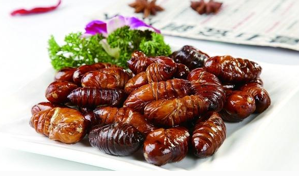 蟬蛹營養(yǎng)有好吃，但這些人不宜多吃