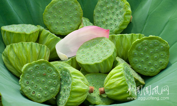 蓮蓬全身都是藥，你真的會吃嗎？
