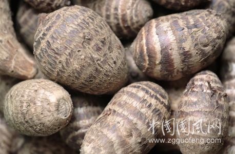 這種蔬菜上下都是毒素，告訴家人千萬別再吃了