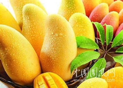 芒果的功效與作用