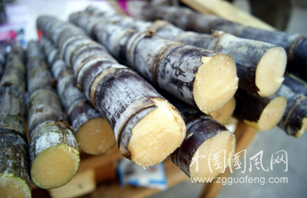 甘蔗雖然營(yíng)養(yǎng)豐富，但也有食用禁忌