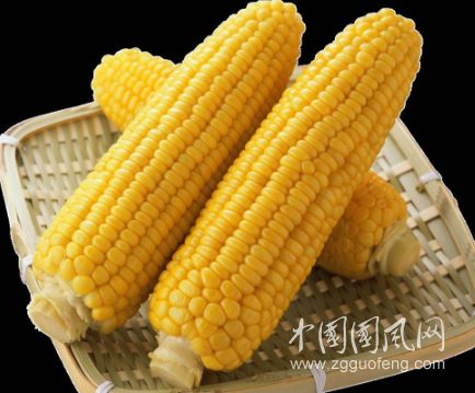 吃玉米對人有3大好處，但是這2種人不適宜吃