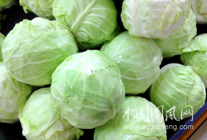 圓白菜居然還是食療高手