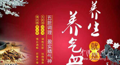 養(yǎng)生與養(yǎng)氣血怎樣協(xié)調