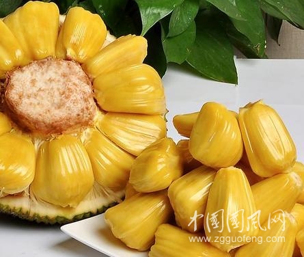 菠蘿蜜的功能