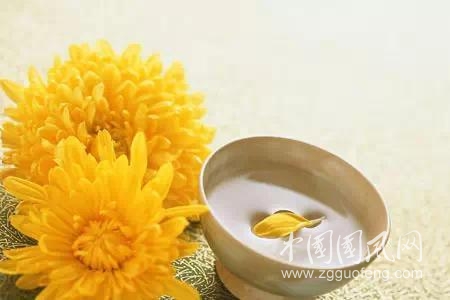 鮮菊花的營(yíng)養(yǎng)價(jià)值