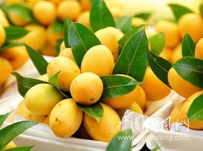 常吃此果滋陰養(yǎng)顏，潤肺止咳
