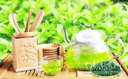 春天喝哪些茶養(yǎng)生比較好