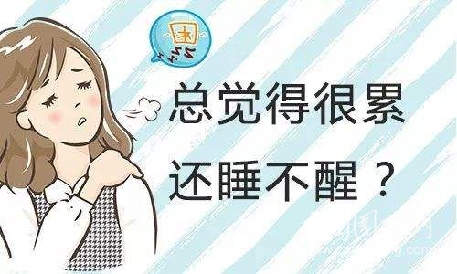 怎么睡都覺得累？當(dāng)心是免疫系統(tǒng)在“報(bào)警”！