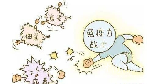增強(qiáng)抵抗力的幾個(gè)好方法