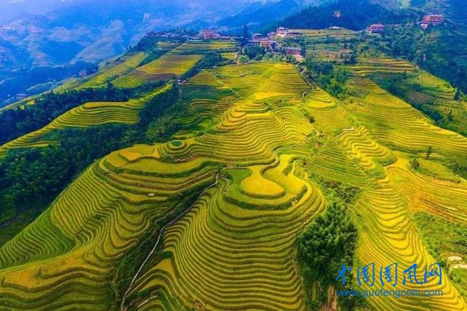 pok.jpg