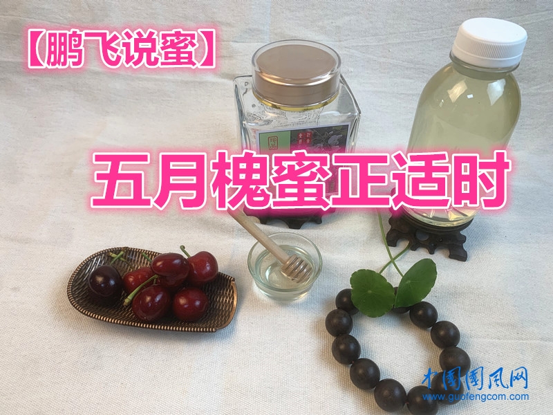  【鵬飛說蜜】五月槐蜜正適時
