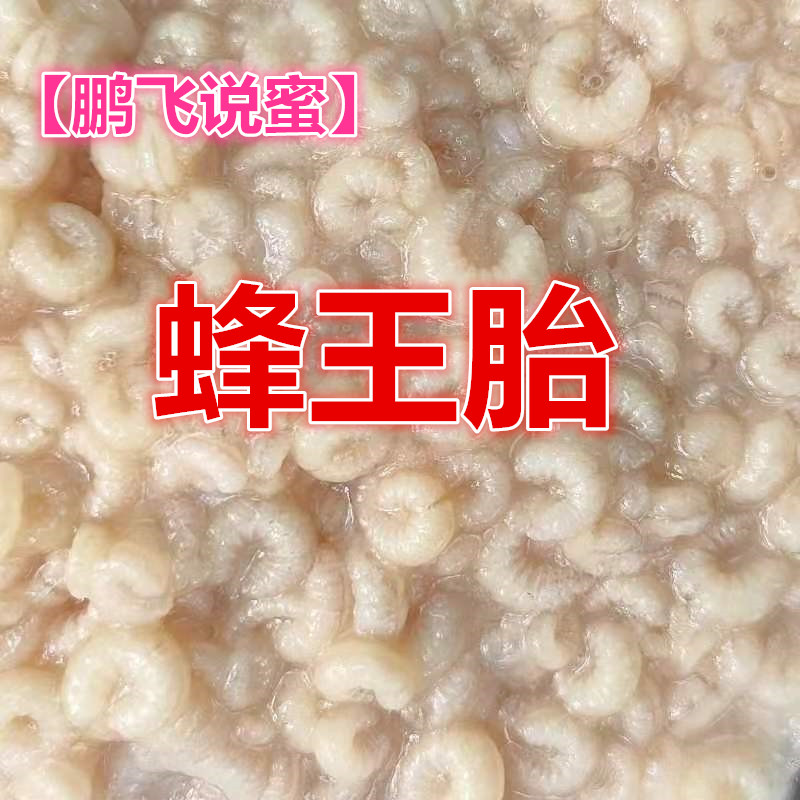 【鵬飛說蜜】蜂王胎