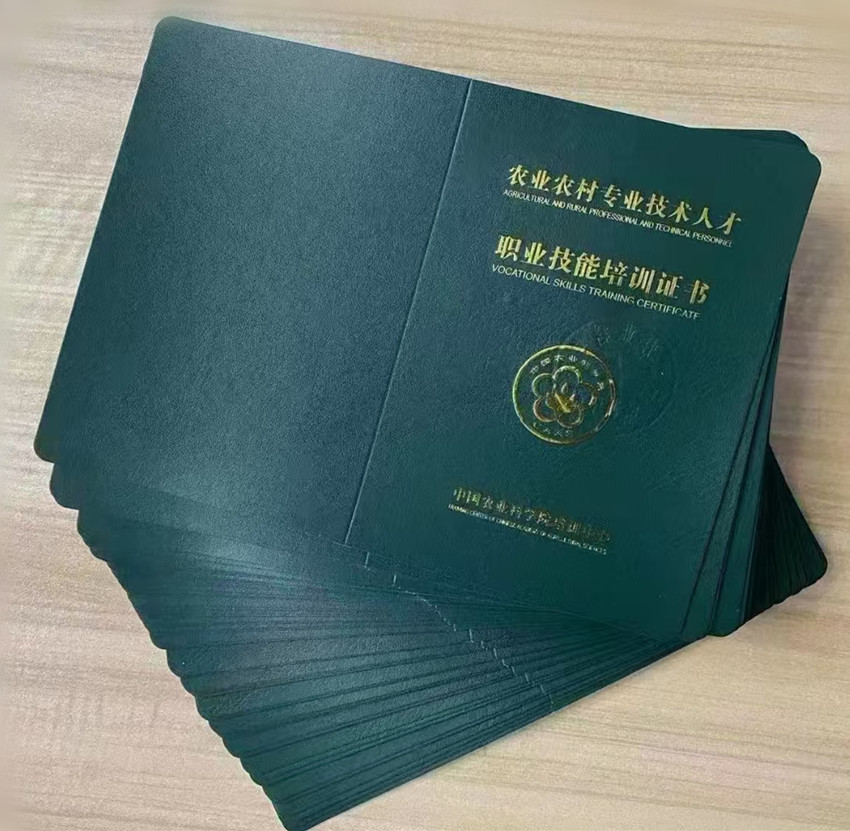 微信圖片_20241117142852.jpg