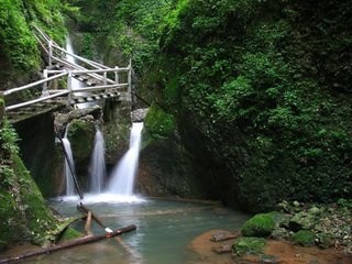 問道青城山，拜水都江堰！功夫熊貓在哪里？