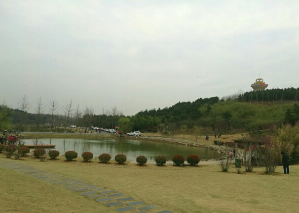 1490668533(1).jpg