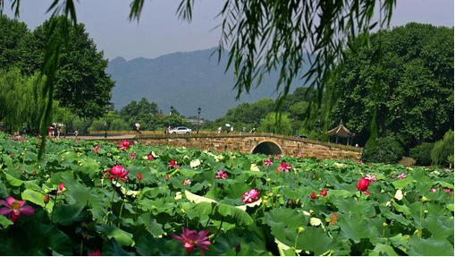 五月最適合去旅游的地方，你知道嗎？又去過幾個？