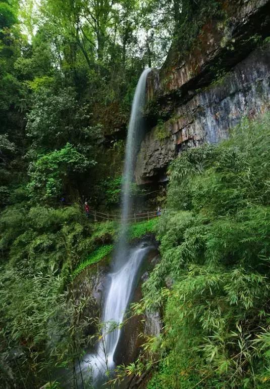 四川十大最美花卉觀賞地——龍蒼溝