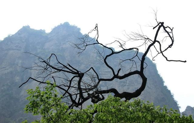 和太行大峽谷同屬一個大景區(qū)，沒有門票，幾十元管吃住，景美如畫