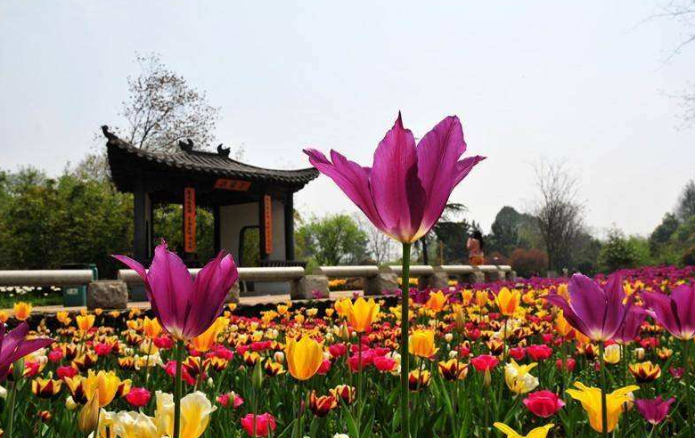 武漢植物園