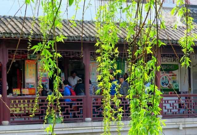 隱藏在上海郊區(qū)的一個古色古香小鎮(zhèn)，值得你去一游