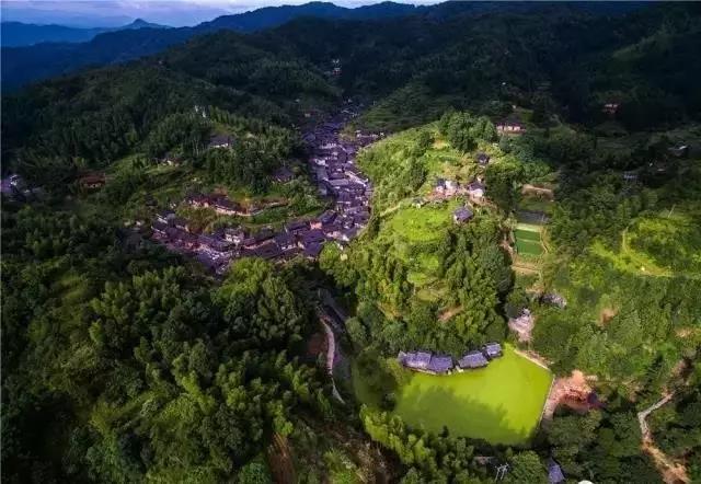 中國(guó)唯一一個(gè)沒(méi)有蚊子的寶地