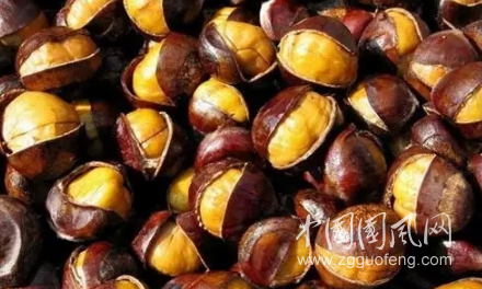 經(jīng)常買板栗吃的，趕緊看看吧！
